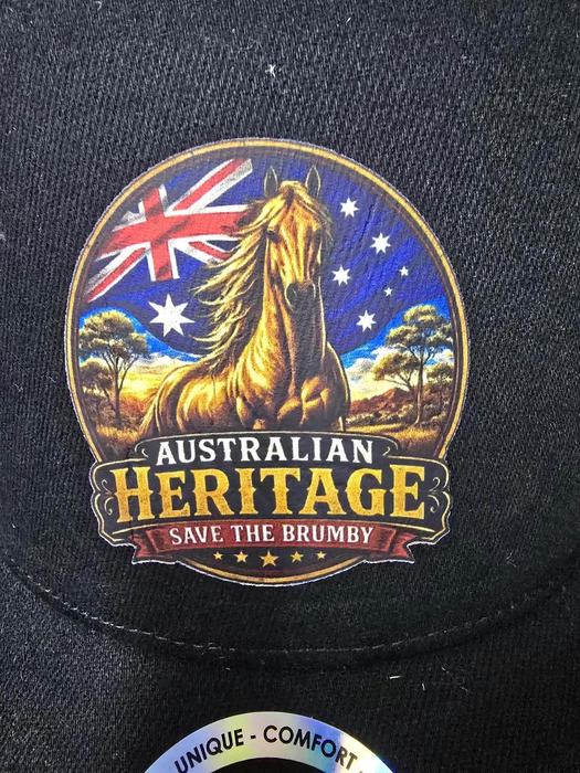 Australian Heritage brumby artwork
